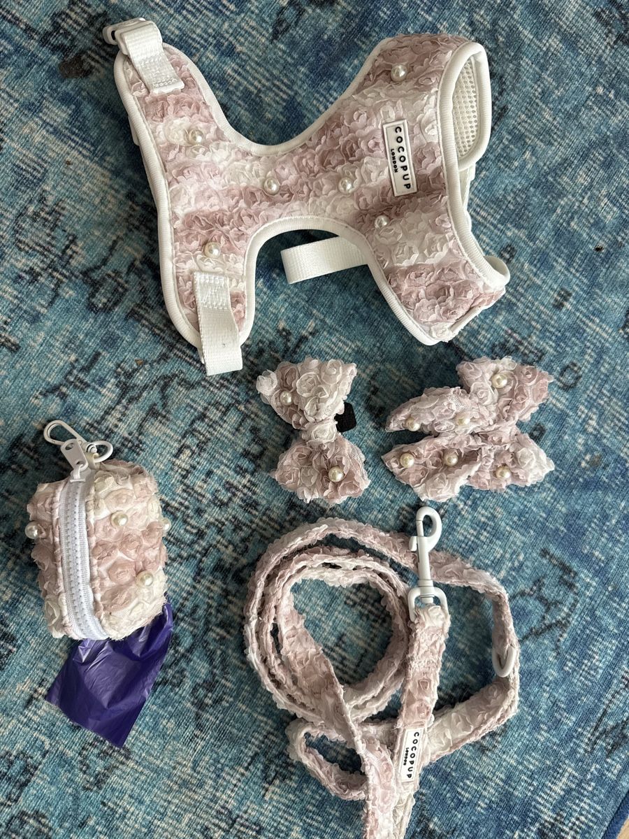 Attrezzatura da arrampicata: CoCoPup London Hunde Set S – Usato da Zürich venduto da wil_2sm9