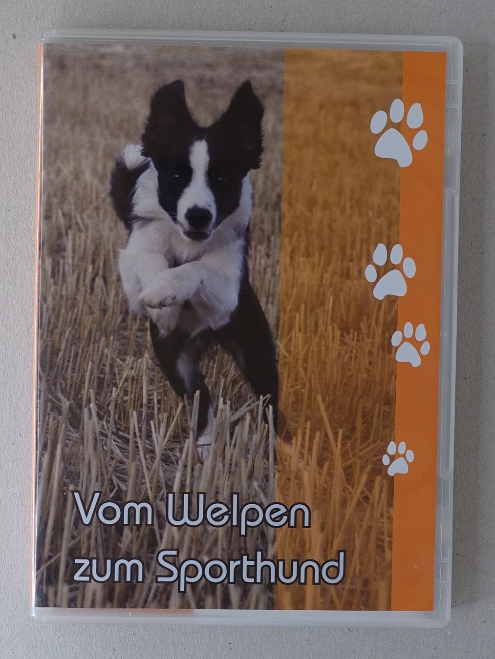 Tutti i DVDs: Vom Welpen zum Sporthund – Usato da Sessa venduto da fraenklishop