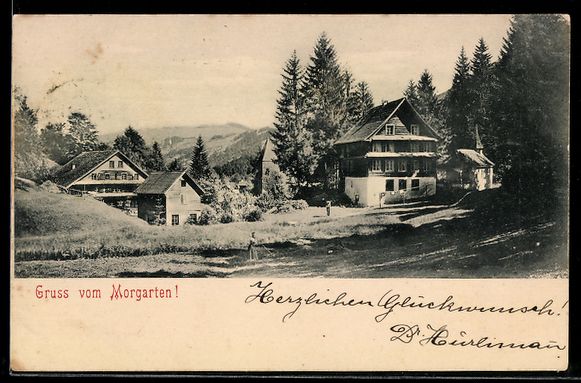 Ansichtskarten: AK Morgarten, Ortspartie am Waldrand – Gebraucht aus Berlin von bartko-reher