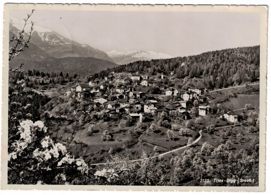 Cartoline postali: Trin - Digg, gelaufen 1951 – Usato da Frauenfeld venduto da POML