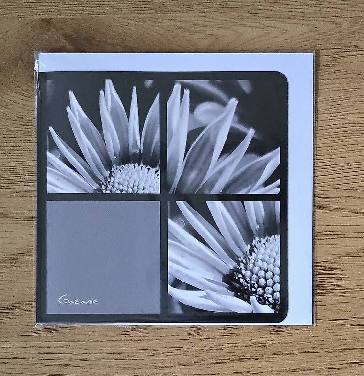 CD: Collagekarte Gazanie – Nuovo e nell'imballaggio originale da Chur venduto da Frei3912