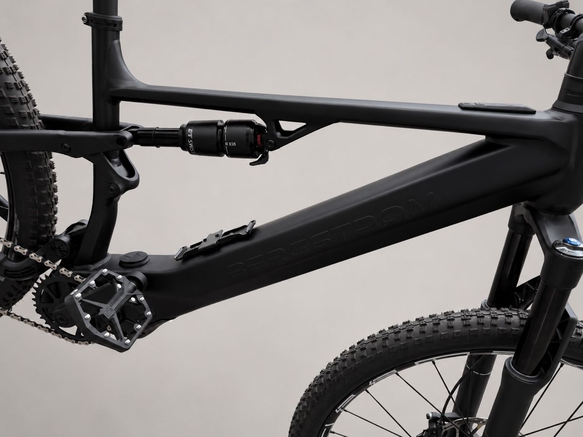 Bergstrom Biciclette: Bergstrom FLOW 2 Alps E-MTB Fully L  – Nuovo (secondo la descrizione) da Lyss venduto da Swiss_1992 5