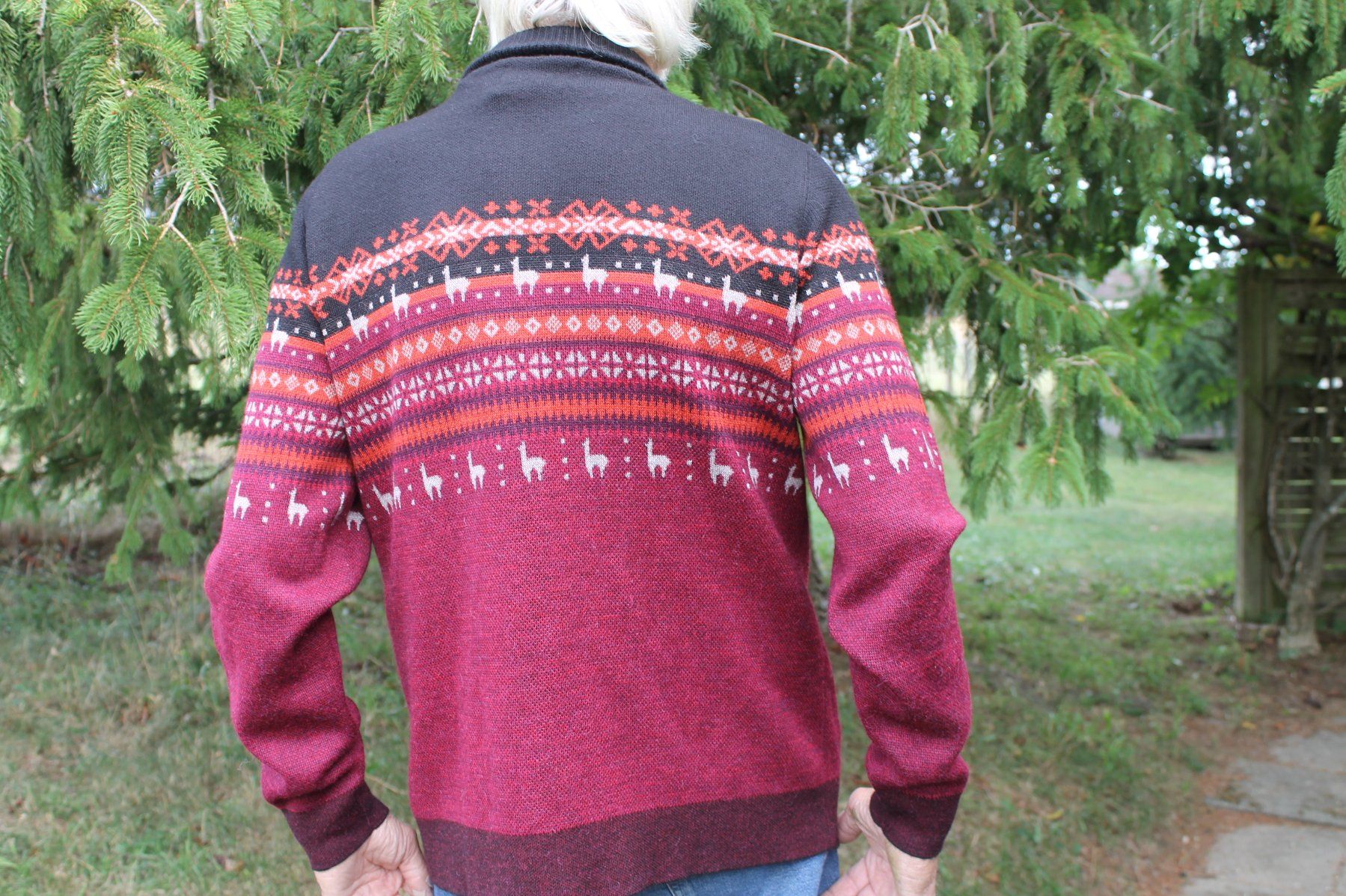 Pullover & Sweatshirts: NEUER, SEHR SCHÖNER ALPACA-PULLOVER – Neu (gemäss Beschreibung) aus Kirchlindach von hekilida 1