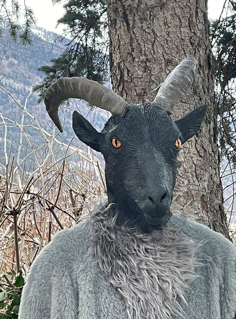 Costumi: Steinbock-Kostüm Grau – Nuovo (secondo la descrizione) da Chur venduto da elifor 5
