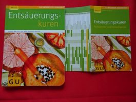 Buch ENTSÄUERUNGS-Kuren. 127Seiten, 16x21,5x1cm. Ratgeber