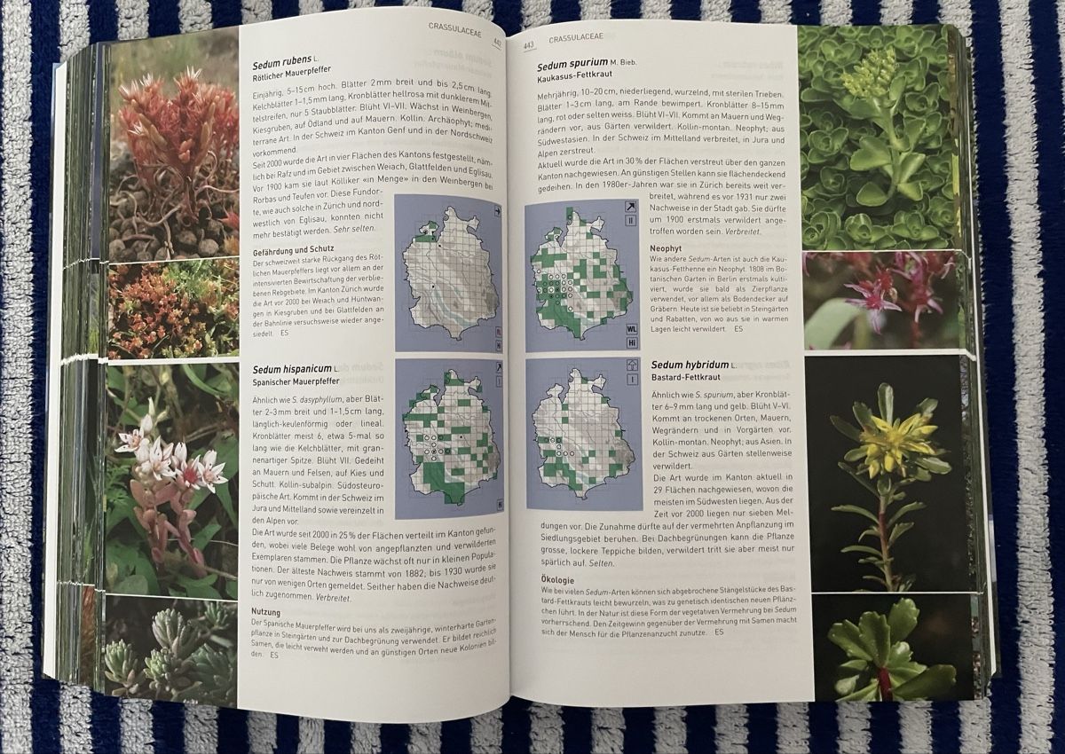 Bücher: Flora des Kantons Zürich – Neu und originalverpackt aus Bäretswil von Evamaria1 2