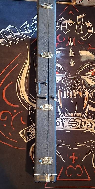 Valigie: Gitarren Koffer – Nuovo (secondo la descrizione) da Unteriberg venduto da Durangobeni1992 1