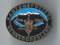 Kantonspolizei Berneroberland Pin