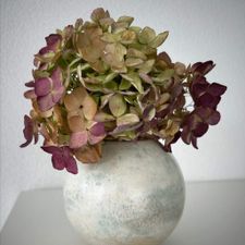Profile image of ceramiclove24