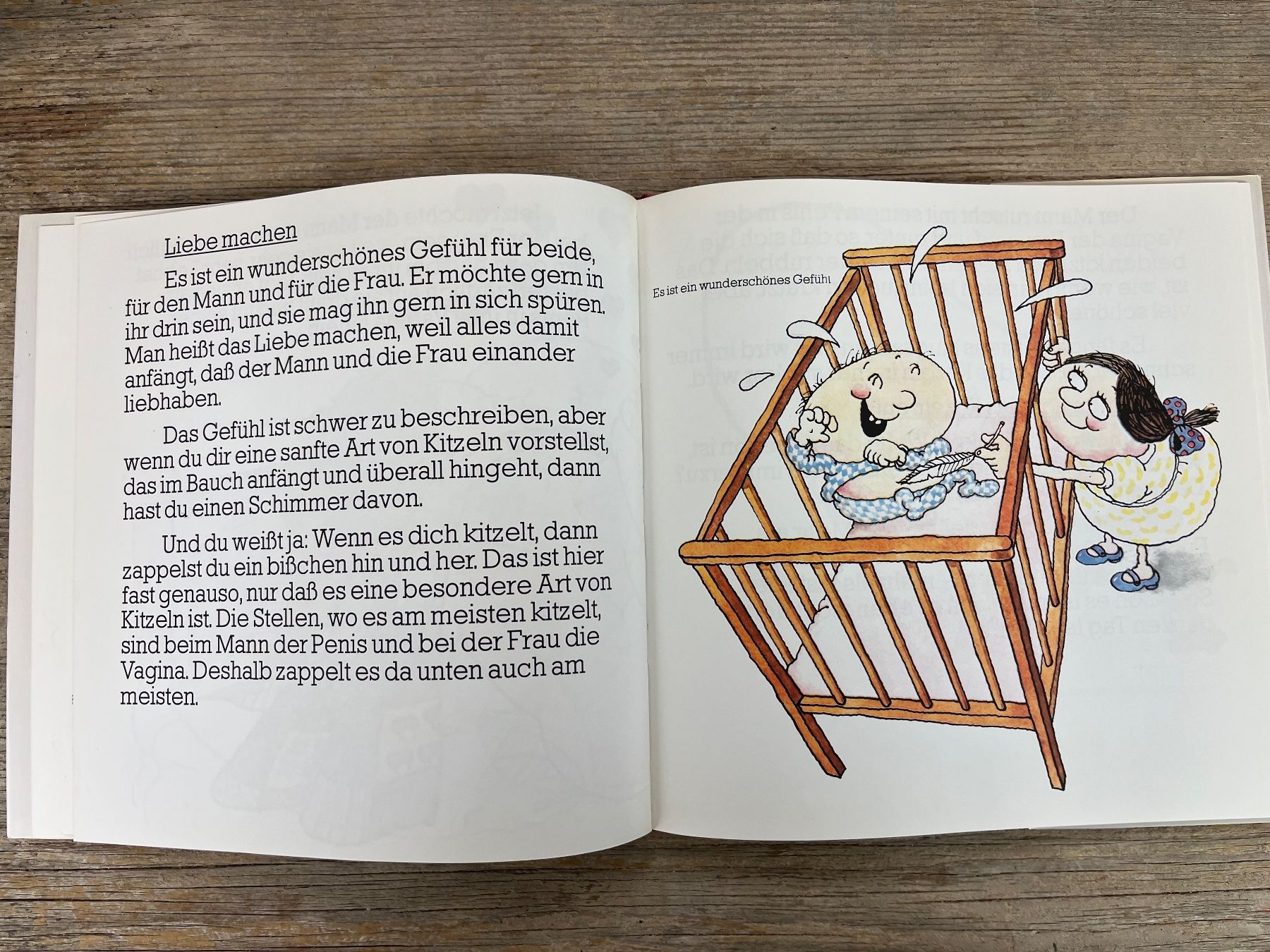 Libri: Aufklärung: Wo komm`ich eigentlich her? Dr. Thäddäus Troll – Usato da Pfäffikon ZH venduto da buresi 3