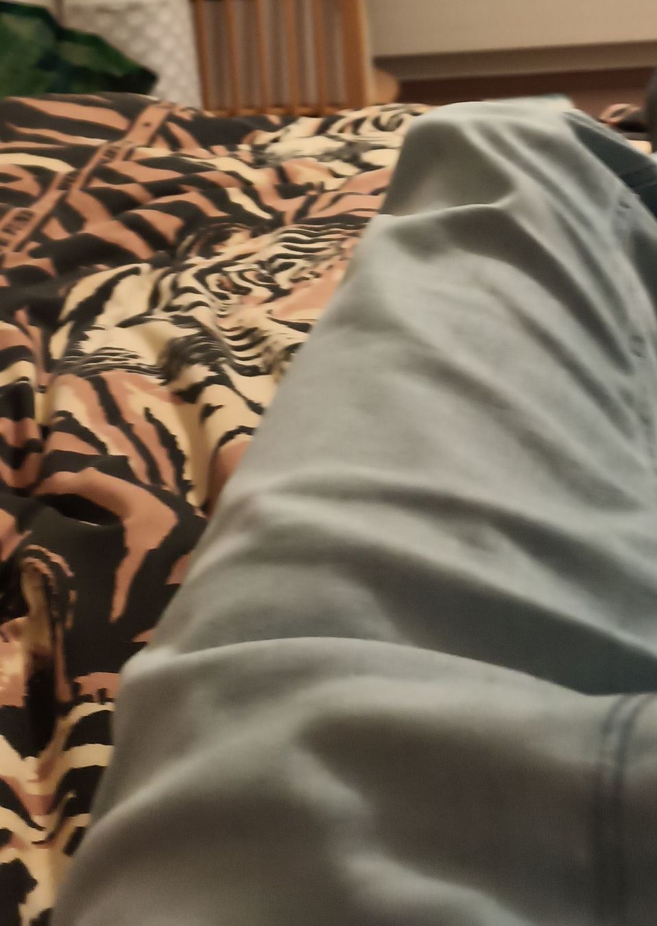 Microsoft Tastiere: Microsoft Wireless Keyboard, Swiss Layout, Like New – Nuovo (secondo la descrizione) da Aarau venduto da billsg 3