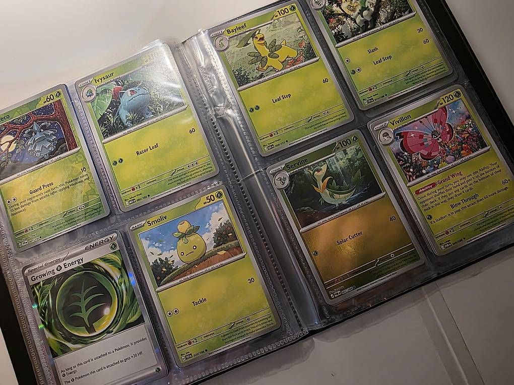 Pokémon Carte collezionabili: Pokémon Portfolio – Usato da Jens venduto da tra_da87 2
