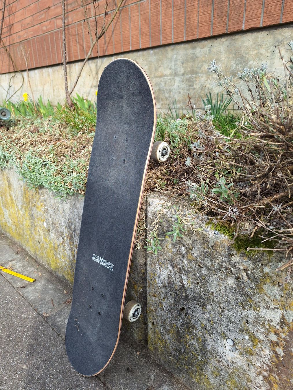 Skateboards: Skateboard – D'occasion à Kloten par Kaefe