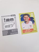 Panini Sticker USA14
