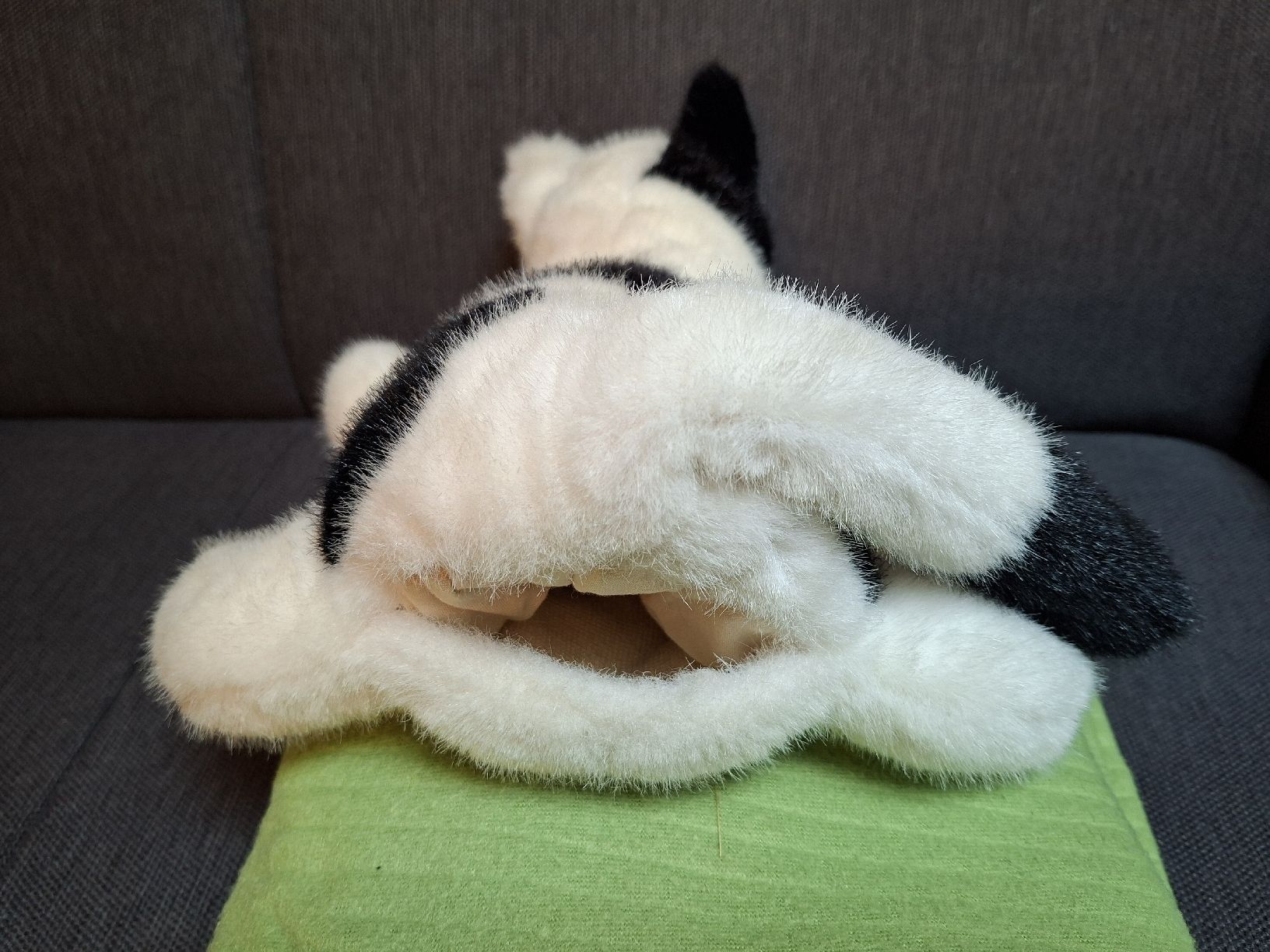Spielzeuge: Handpuppe Katze Timmi schwarz/weiss – Gebraucht aus Bilten von ecobi 3