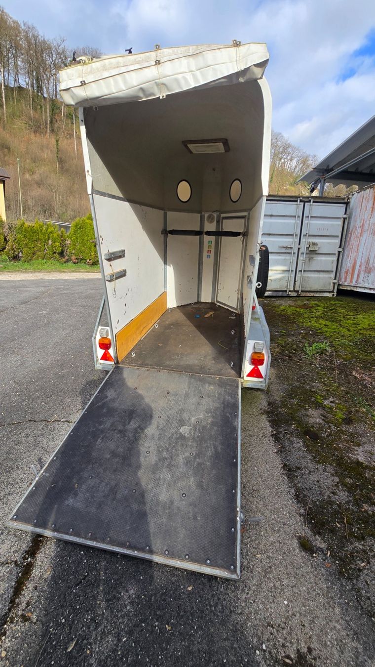 Huser Rimorchi: Motorrad Pferde Transport Anhänger – Usato da Pratteln venduto da mot_y5wn