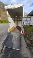 Motorrad Pferde Transport Anhänger