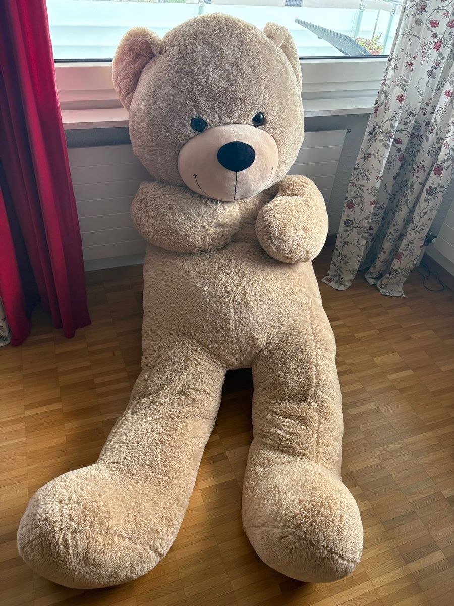 Migros Spielzeuge: Grosser Teddybär/Plüschbär/Plüschtier – Gebraucht aus Horw von enia9781 2
