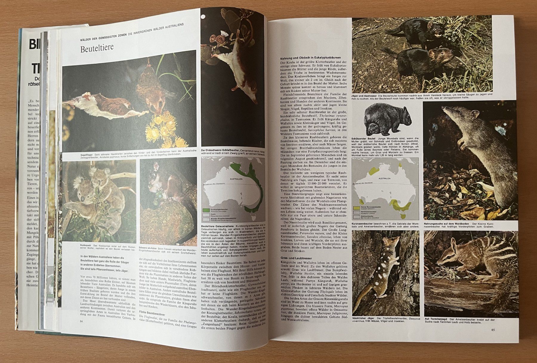 Libri: Bildatlas der Tierwelt – Usato da Lausen venduto da Mondeo10628 4