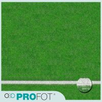 Floor Drop - Grass Sports Fiel 2.4mx2.4m Premium Hintergrund