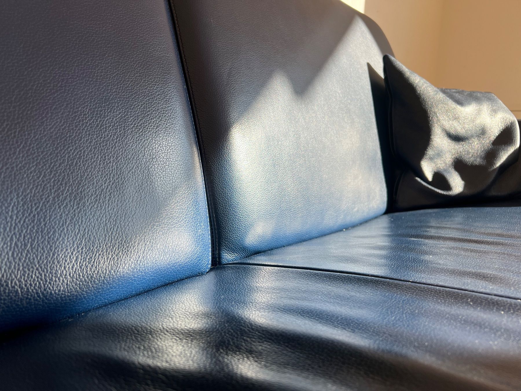 Divani: zwei Designer Ledersofas – Usato da Zürich venduto da oli_l6ps 1