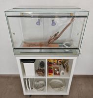 Glas Terrarium mit Unterbau und Zubehör sehr guter Zustand