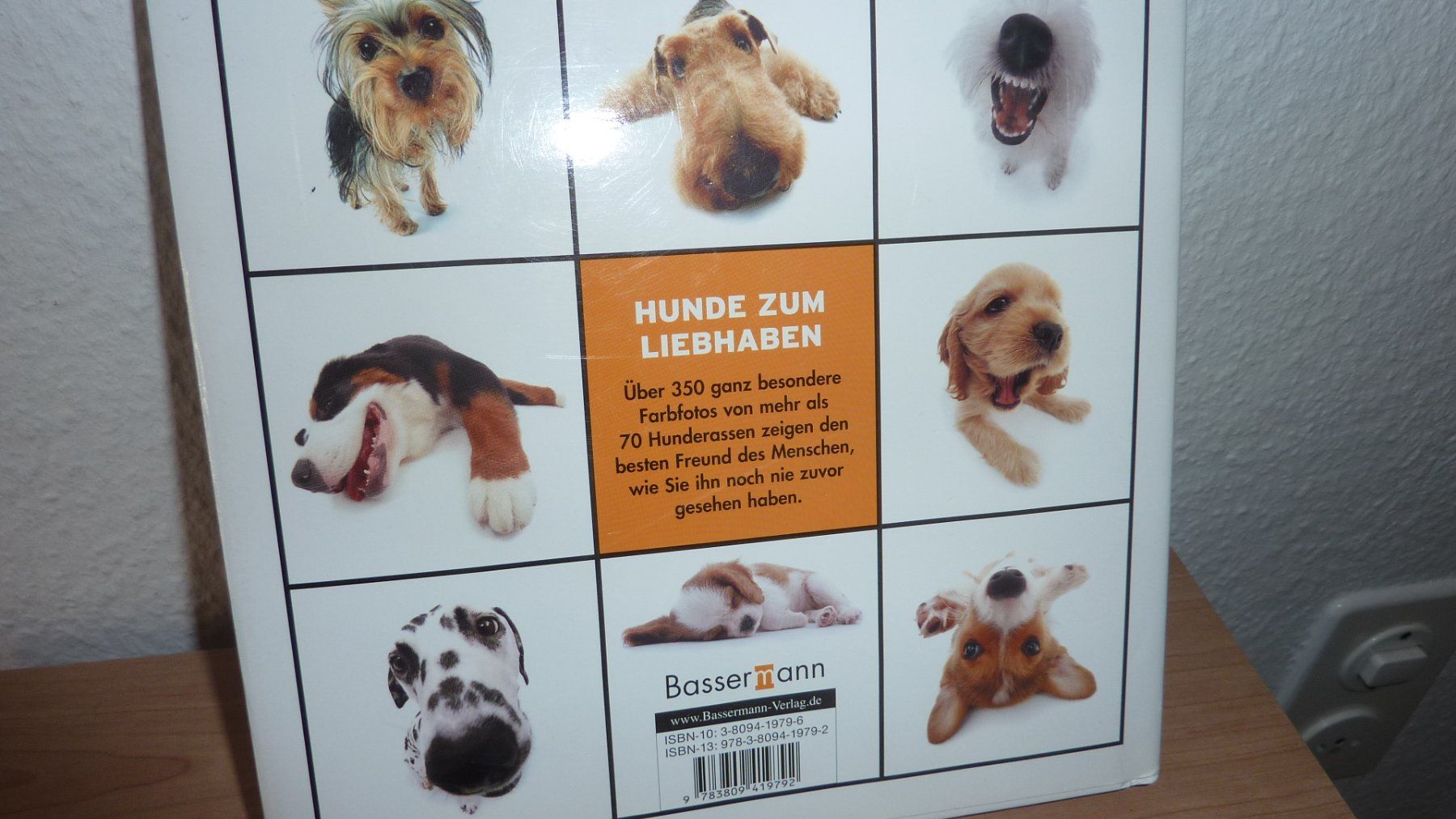Livres: fast neue hundebuch – Neuf (Voir description) à Füllinsdorf par pmarkus 1