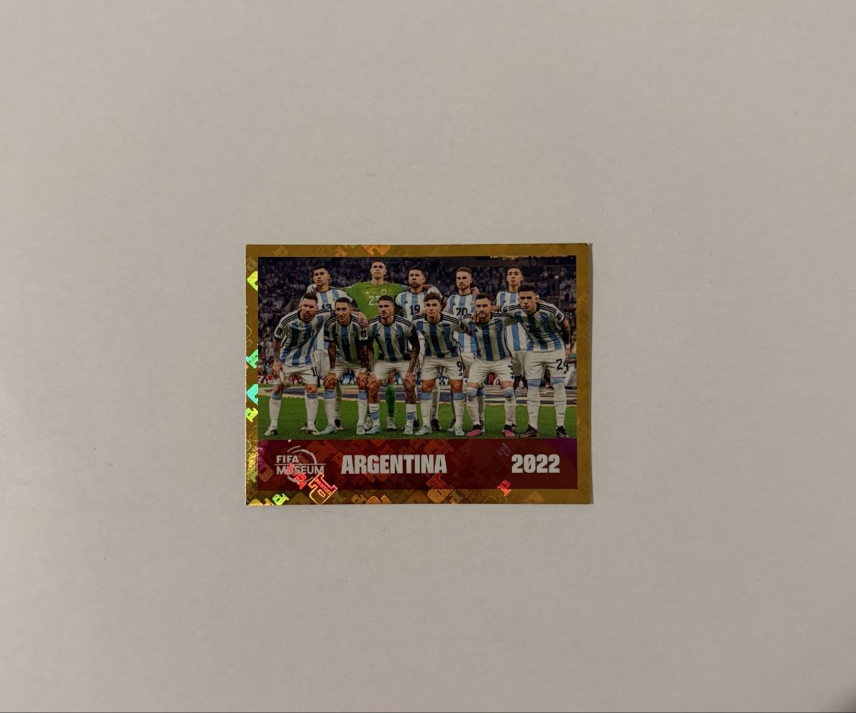 Panini Carte collezionabili: FIFA World Cup Germany und Argentina – Nuovo e nell'imballaggio originale da Wetzikon ZH venduto da fre_rnv5 2