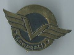 Kawasaki Pin