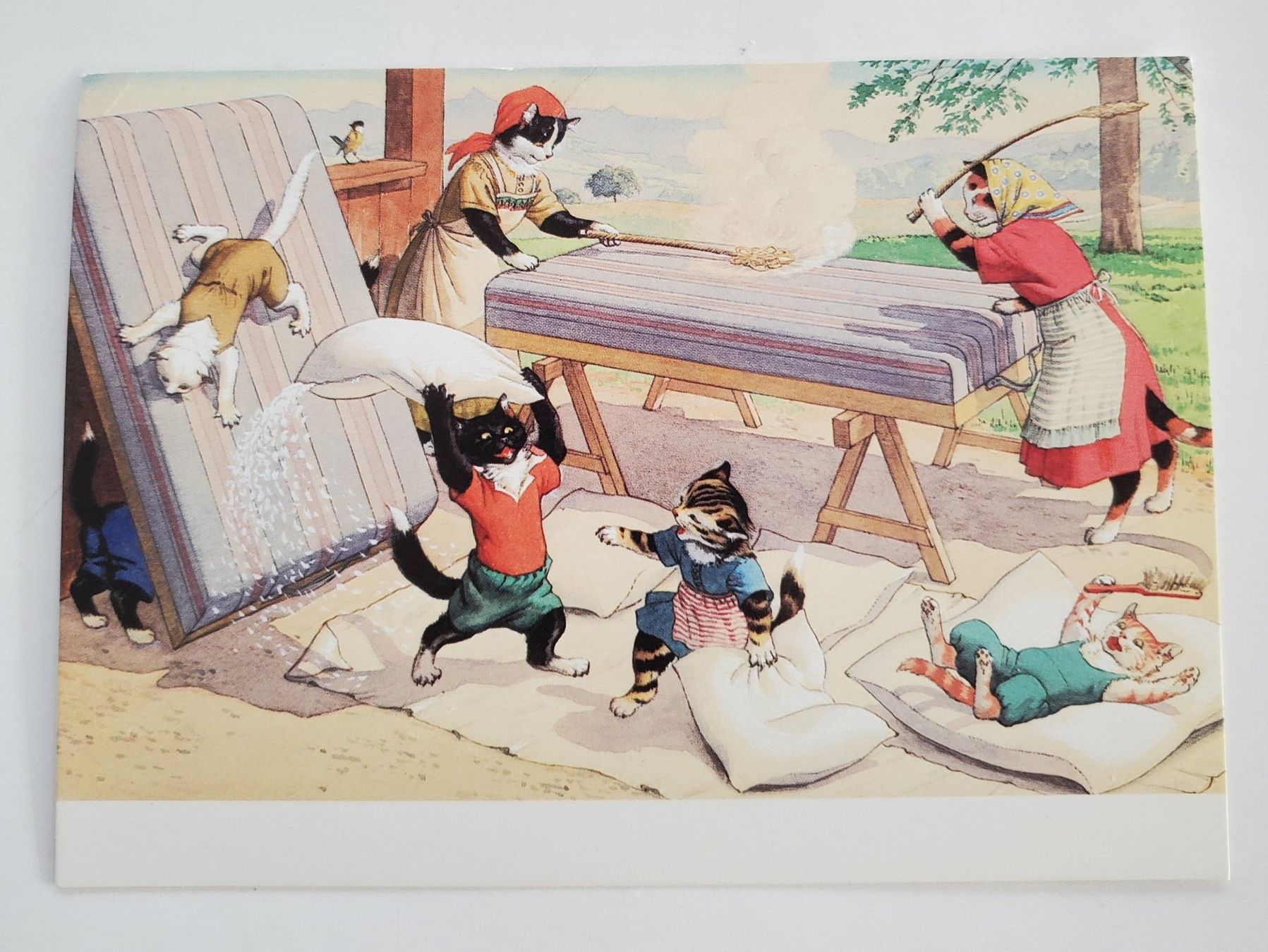 Cartoline postali: AK Katzen Katzenkarte Nr. 115 – Usato da Opfikon venduto da Diversamente