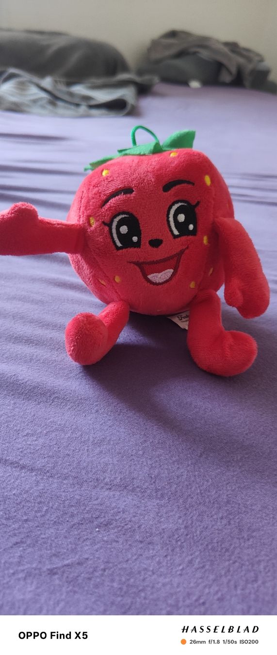 Coop Spielzeuge: Strawberry – Neu (gemäss Beschreibung) aus Unterentfelden von igs_nj72