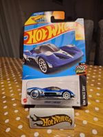 Hot Wheels HW Race Day 2024 Group C Fantasy 1/10 L
