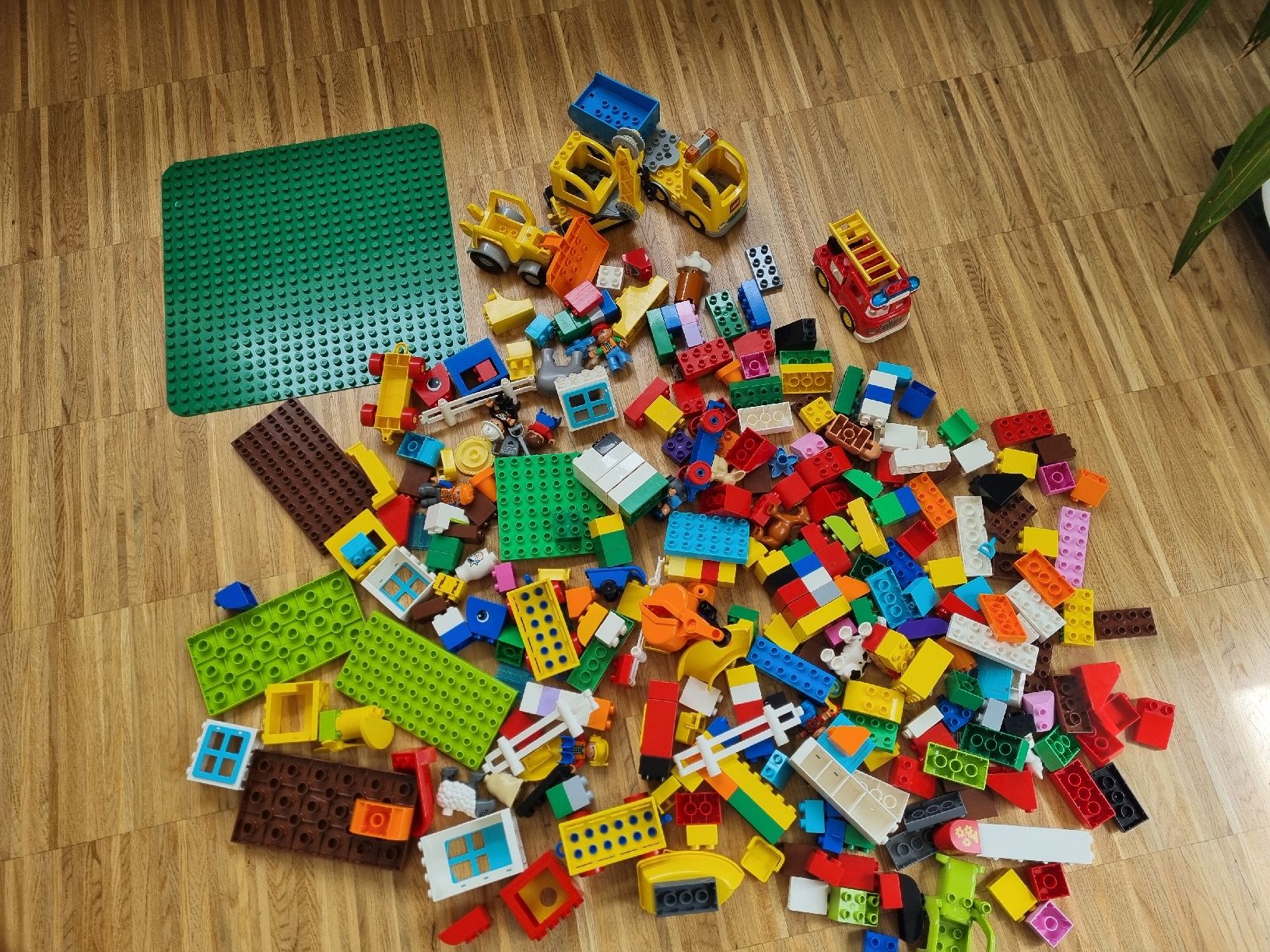 Lego Giocattoli: diverse Duplo – Usato da Liebefeld venduto da Nobody7 1