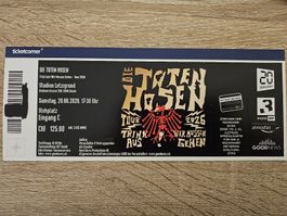 Die Toten Hosen Zürich Stehplatz 20.06.26