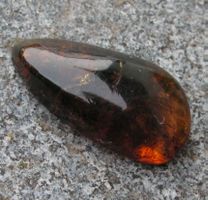 ♥ GROSS: DOMINIKANISCHER BERNSTEIN CABOCHON ♥