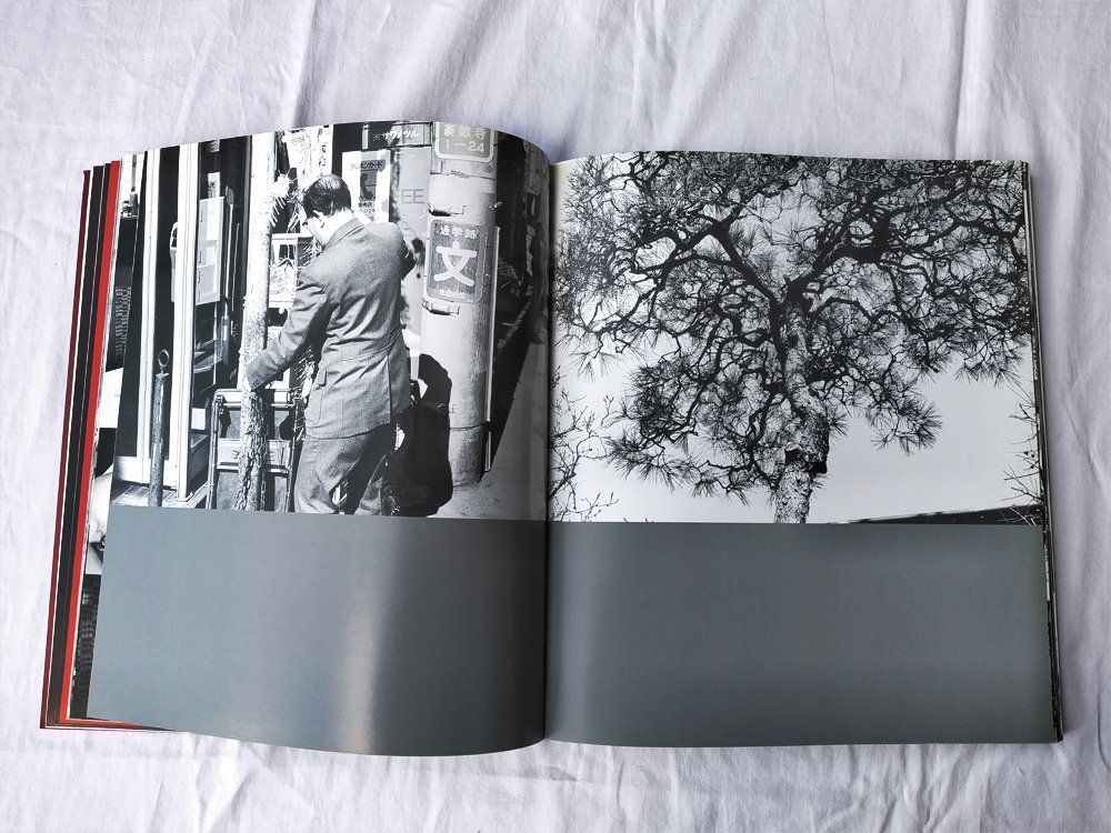 Libri: Nobuyoshi Araki : Viaggio Sentimentale – Usato da Morgins venduto da Laurentcorinne 2
