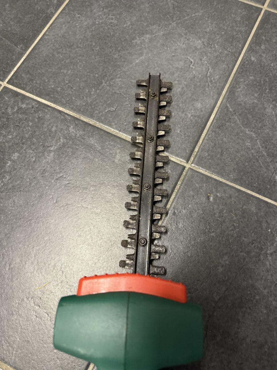 Bosch Seghe: Heckenschere – Usato da Wermatswil venduto da FEDN 4