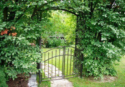 Altre Decorazioni per giardino: ROSENBOGEN MIT TOR AUS METAL – Nuovo e nell'imballaggio originale da Stein am Rhein venduto da Gomme100 2