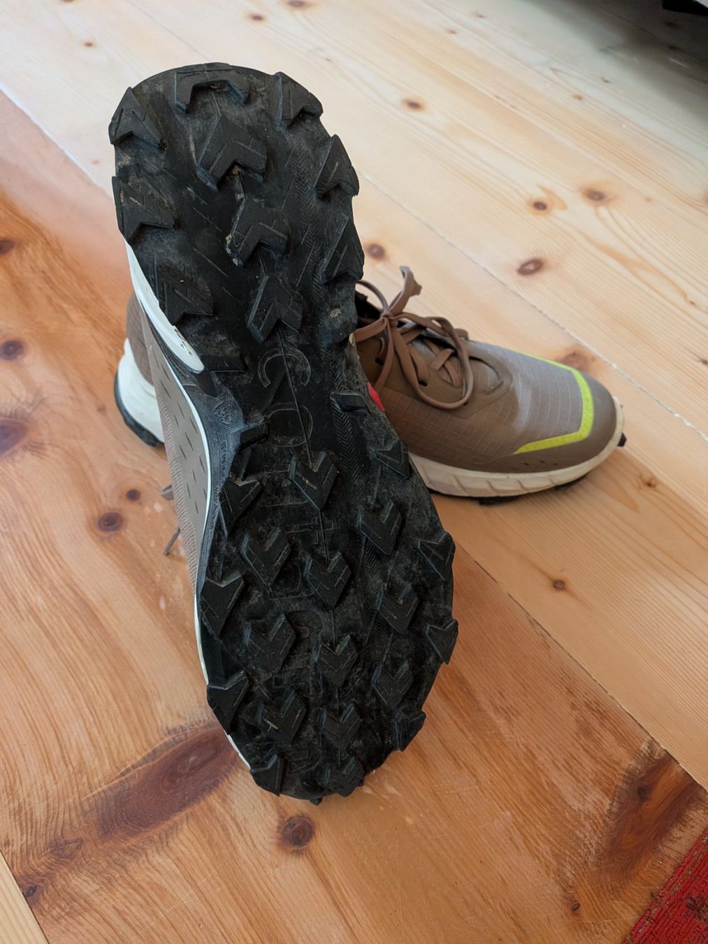 Salomon Scarpe da uomo: Salomon Alpha Cross 5 – Nuovo (secondo la descrizione) da Jenins venduto da ricrau 1