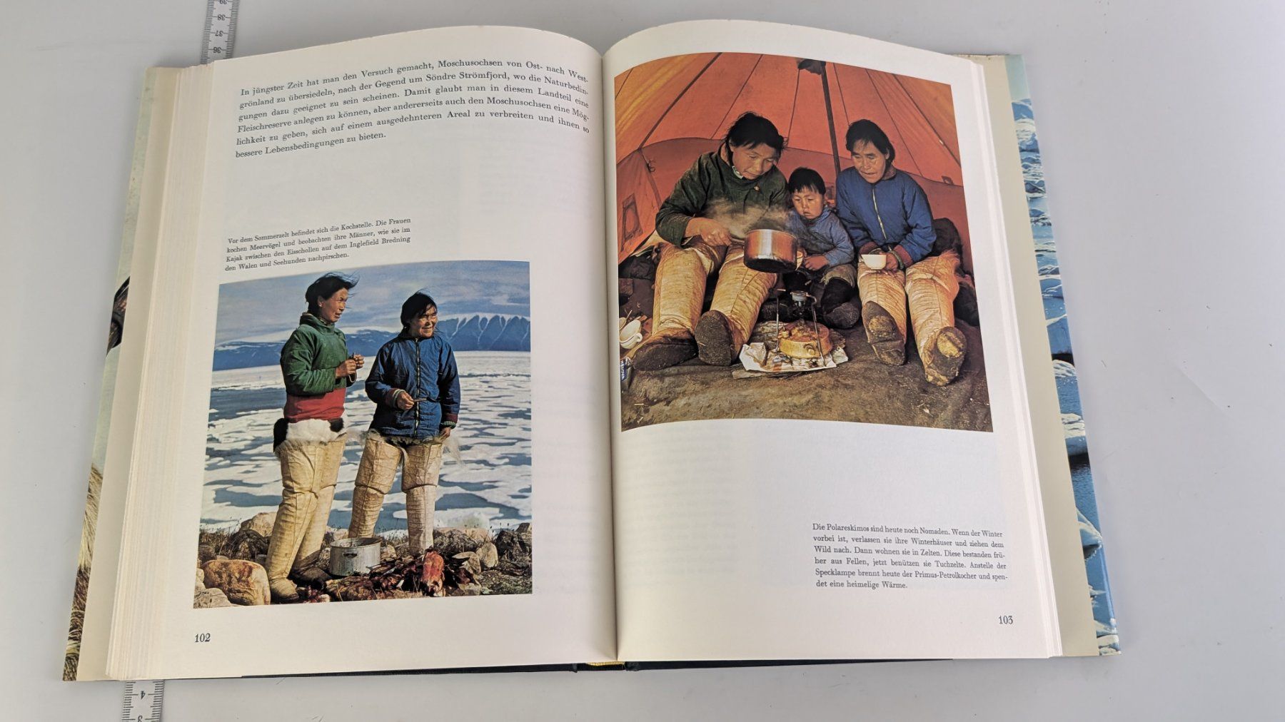 Libri: Grönland – Silva 1967 – Usato da Zürich venduto da axolottchen 9