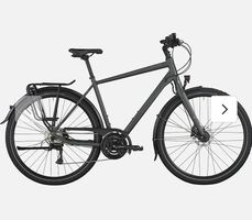 Bergamont Vitess 40 rigid (2026) | Trekkingrad | Kelp Green