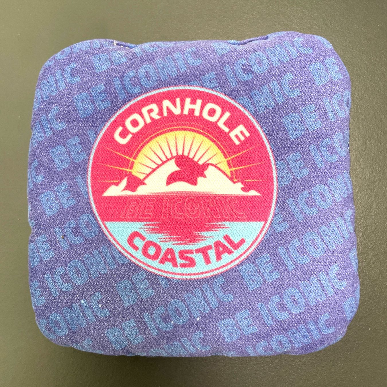 Giochi: Originale Cornhole Coastal Shellshock Bags (4 Stück) – Nuovo (secondo la descrizione) da Aarburg venduto da jimmy1978 3