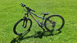 Gut erhaltenes KTM Mountainbike, ideal für den Wald! Top!