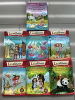 Kinderbücher Leselöwen 1. Klasse