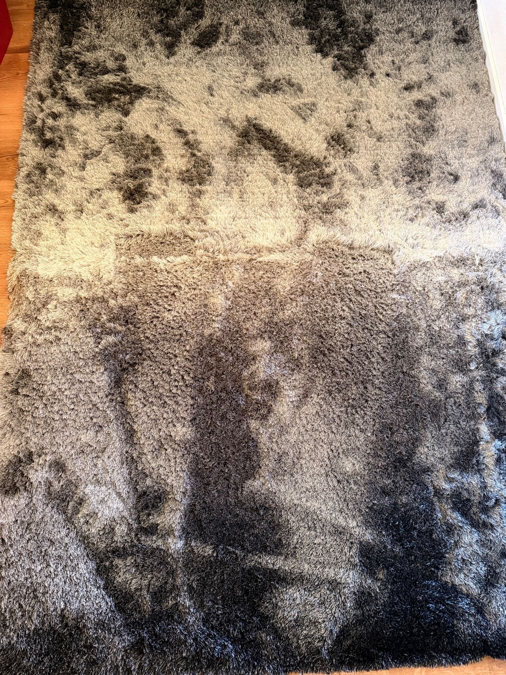 Tappeti: Hochfloorteppich Whisper Anthrazit/ Grau – Usato da Salgesch venduto da cel_l7ks 2