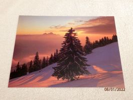 Ansichtskarte, Abendstimmung am Rigi