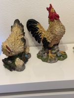 Spezielle Küken 🐥 Familie