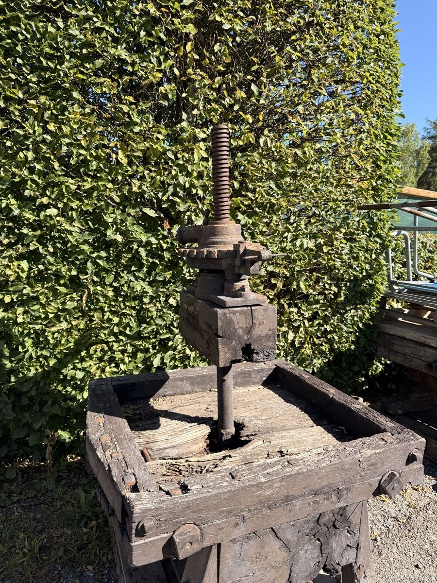 Tutte le macchine: Alte Holzpresse, Apfelpresse, antik, robust – Usato da Bonstetten venduto da TheSecretGarden 1