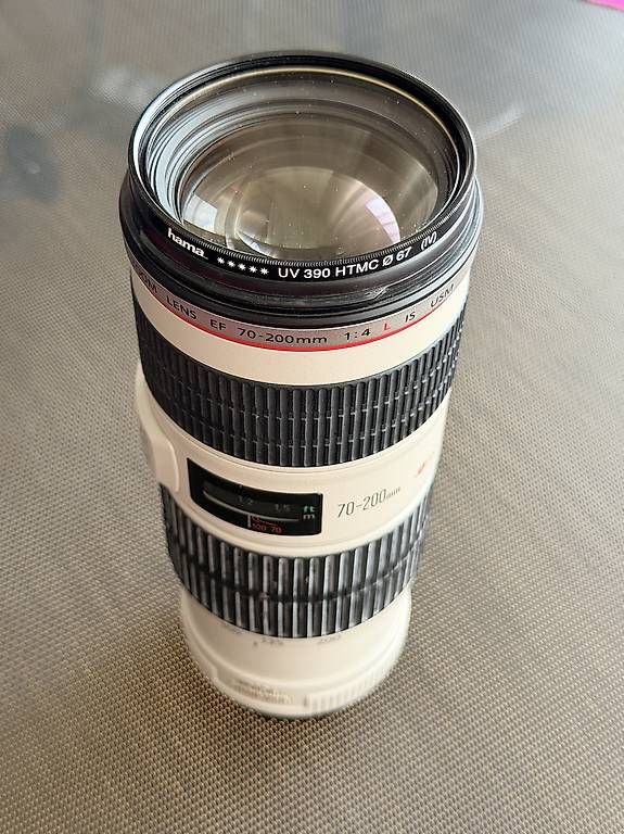 Canon Obiettivi: Canon EF 70-200mm 4.0 L IS USM – Usato da Horgen venduto da roligraf 1