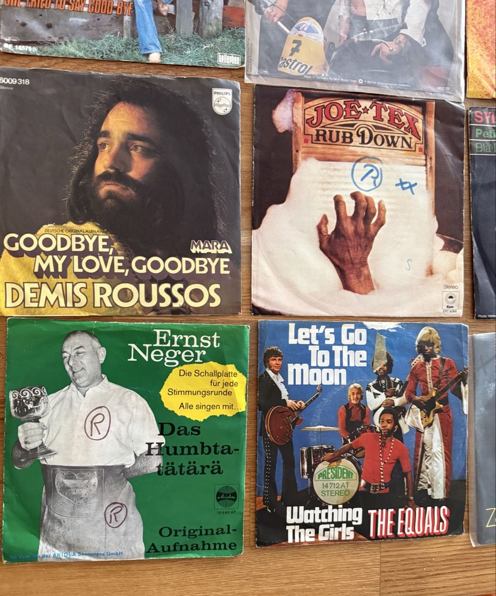 Schallplatten: Single Schallplatten Sammlung – Gebraucht aus Goldach von Messerguru 3
